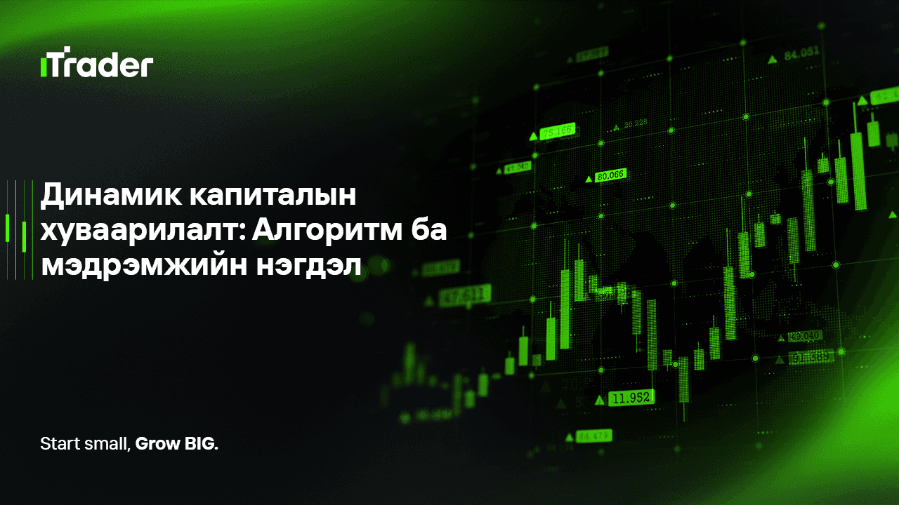 Динамик капиталын хуваарилалт: Алгоритм ба мэдрэмжийн нэгдэл
